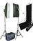 PRO 700W 2 STROBE  lighting  WhiteBlackGreyBlue Backdrop  Stand Kit